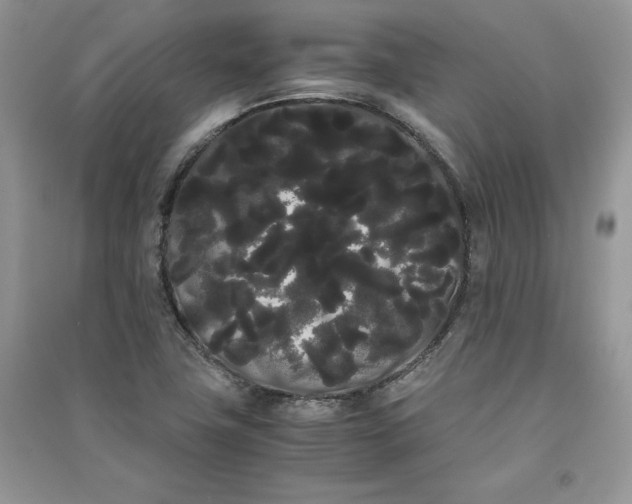 X0000090861411200708101210