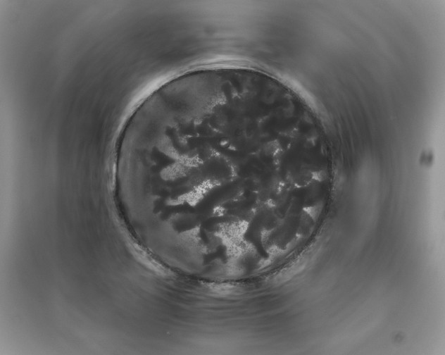 X0000090861413200708101210