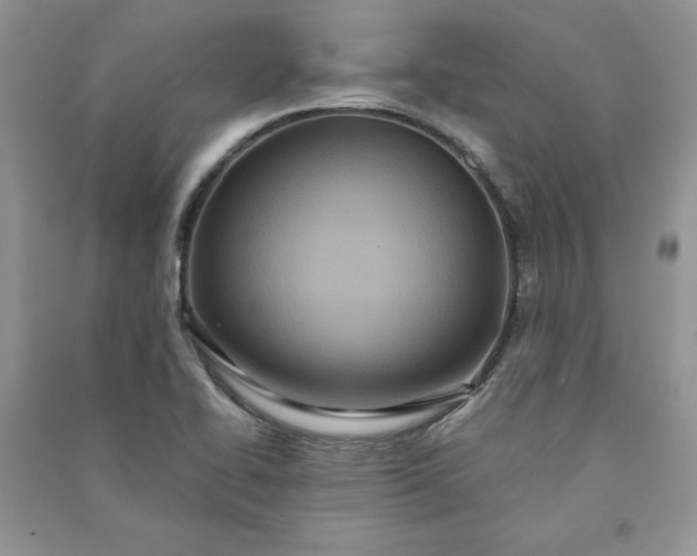 X0000090861414200708101210