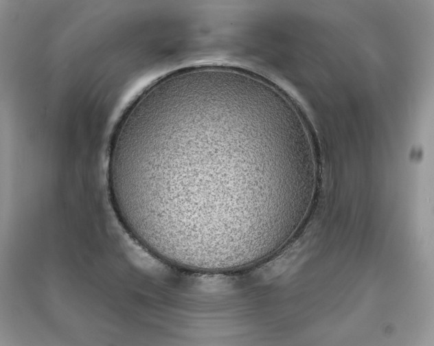 X0000090861416200708101210