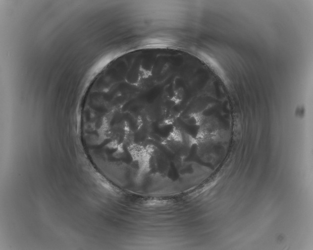 X0000090861419200708101210