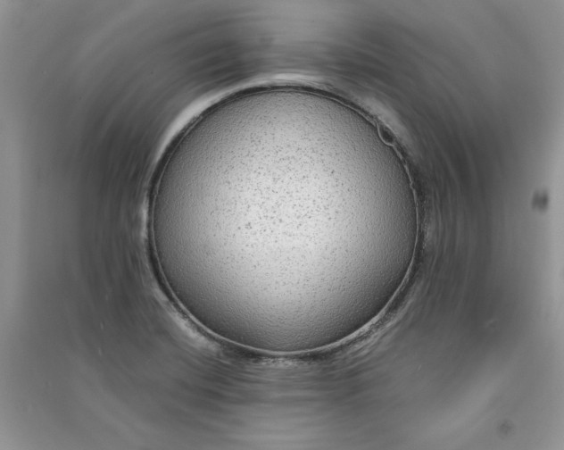 X0000090861420200708101210