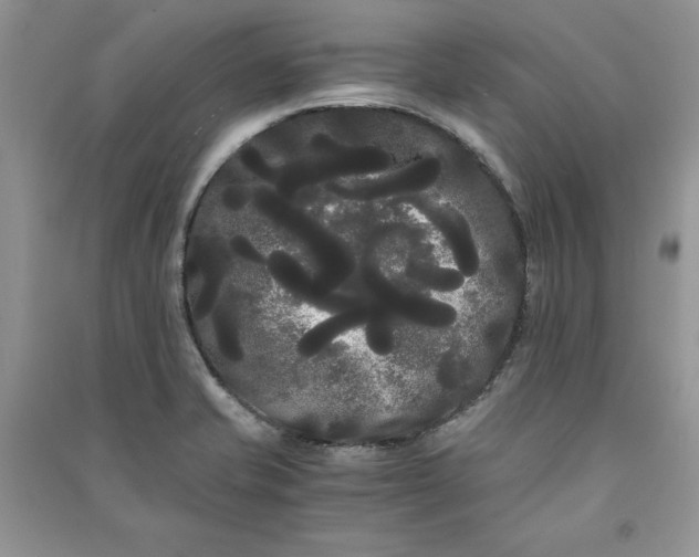 X0000090861421200708101210