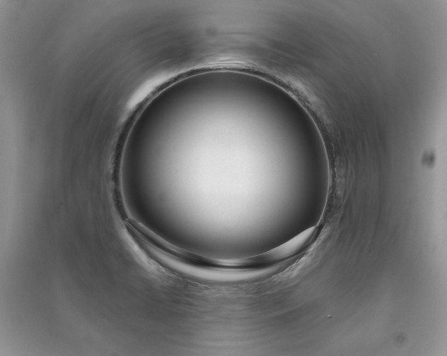 X0000090861422200708101210