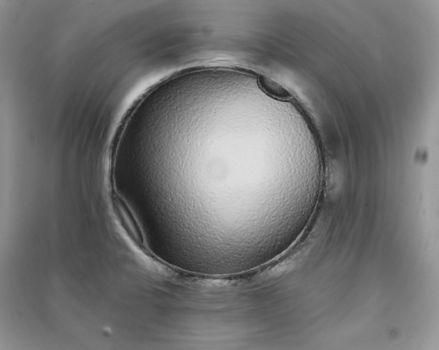 X0000090861424200708101210