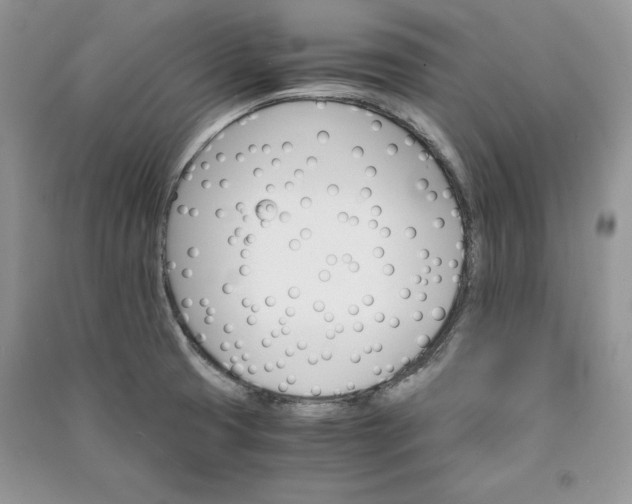 X0000090861425200708101210