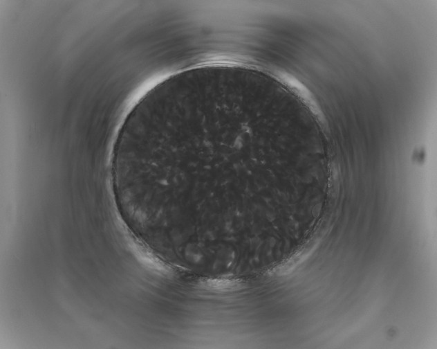 X0000090861427200708101210