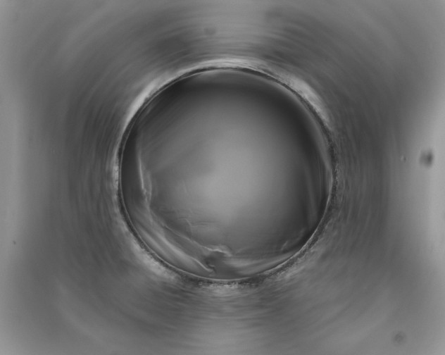 X0000090861428200708101210