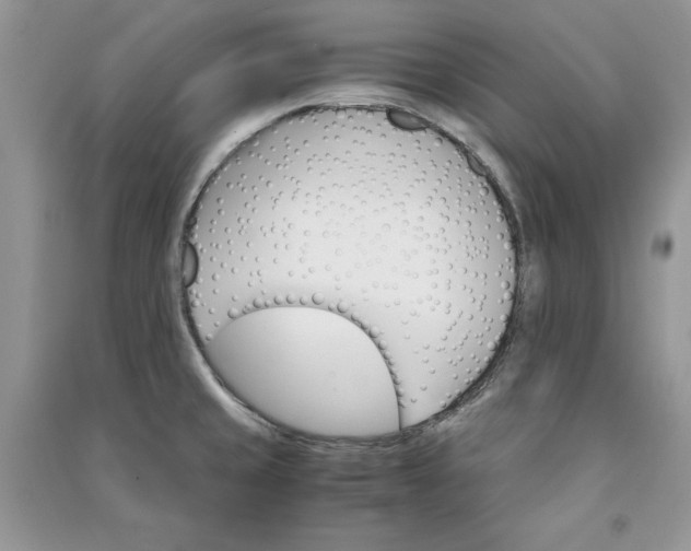 X0000090861429200708101210