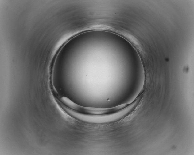 X0000090861430200708101210