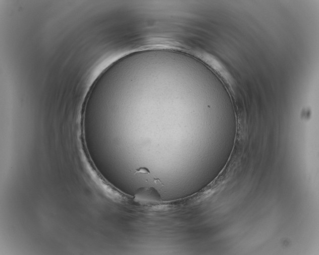 X0000090861431200708101210