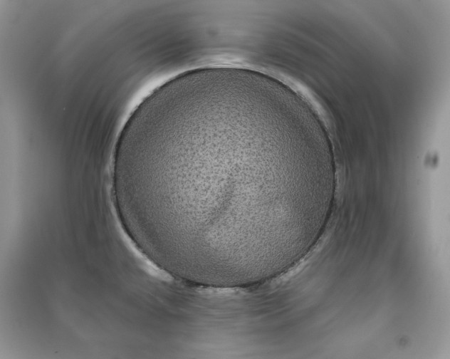 X0000090861432200708101210