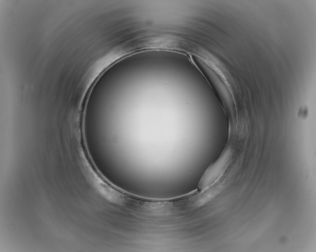 X0000090861434200708101210