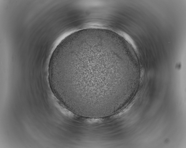 X0000090861435200708101210