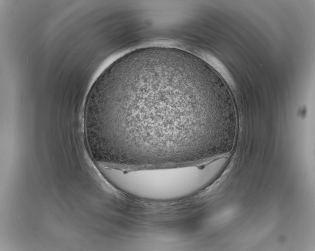 X0000090861436200708101210