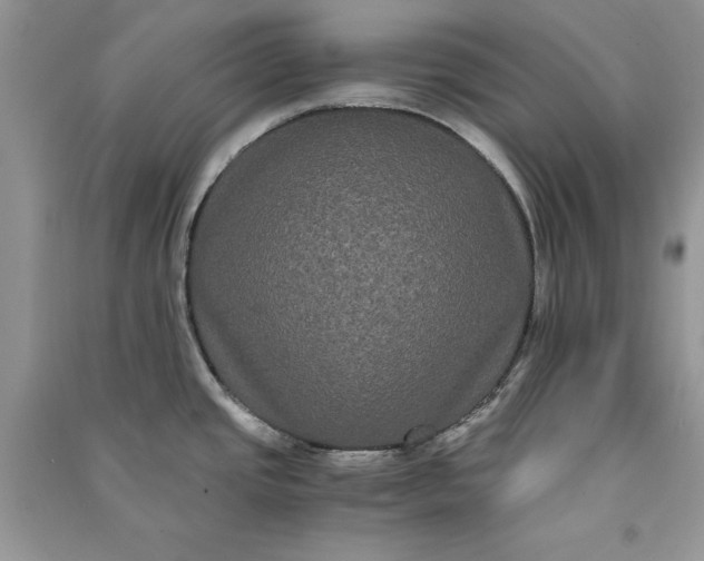 X0000090861437200708101210