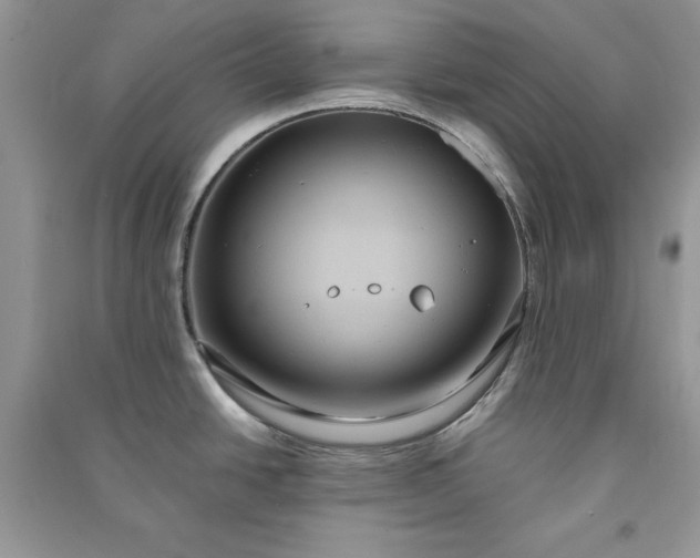 X0000090861438200708101210