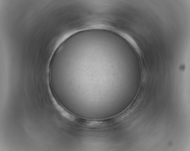 X0000090861439200708101210