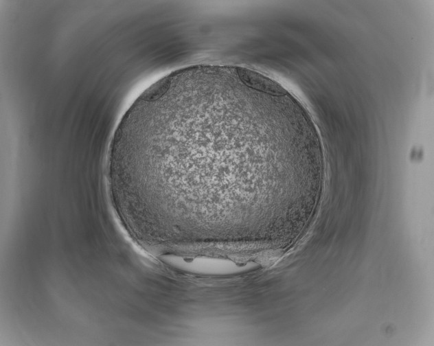 X0000090861440200708101210