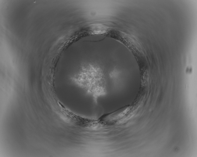 X0000090861441200708101210