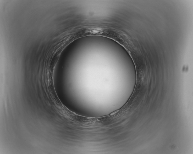 X0000090861442200708101210