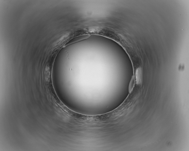 X0000090861443200708101210