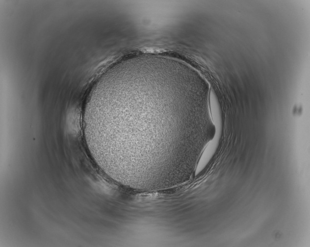 X0000090861444200708101210