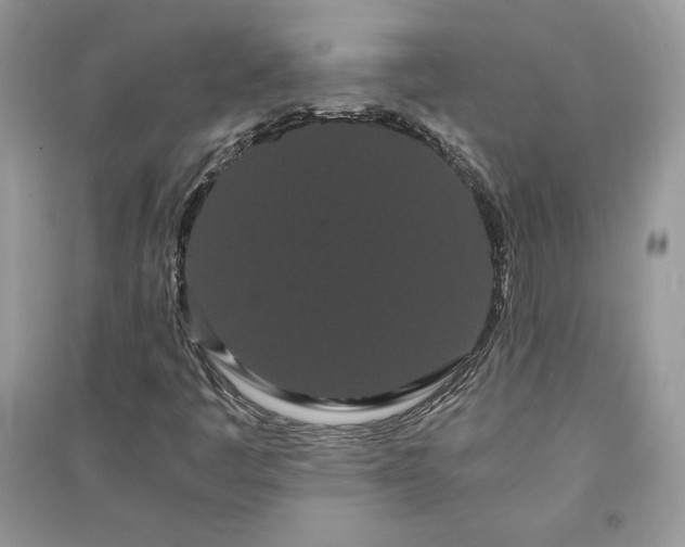 X0000090861445200708101209