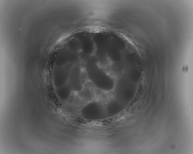 X0000090861446200708101209