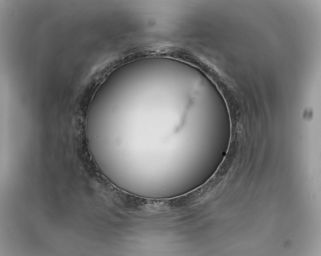 X0000090861447200708101209