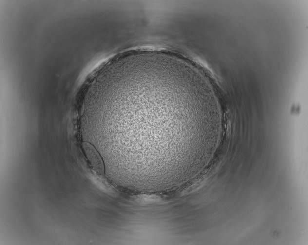 X0000090861448200708101209