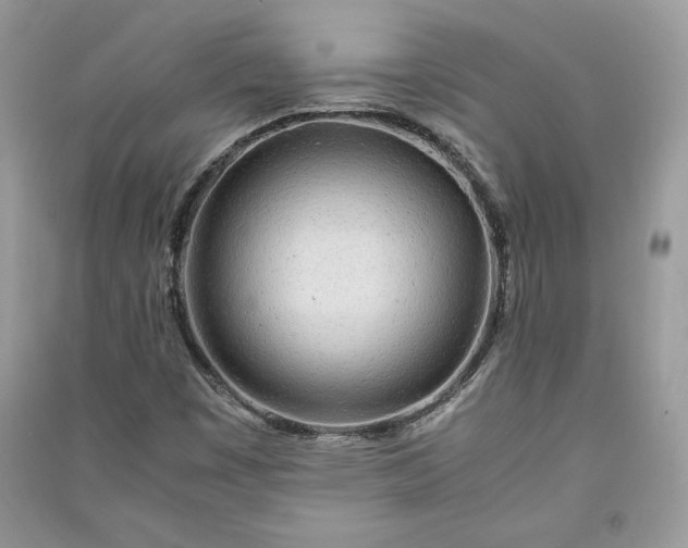 X0000090861449200708101209