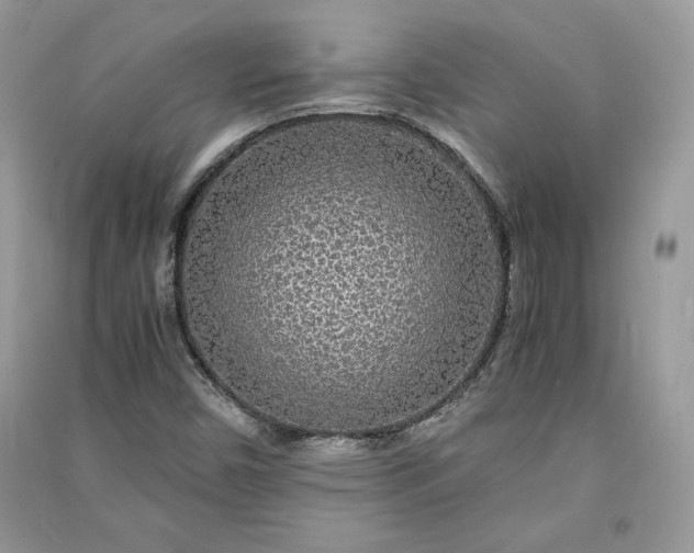 X0000090861450200708101209