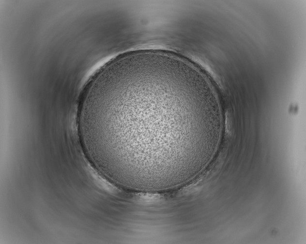 X0000090861452200708101209