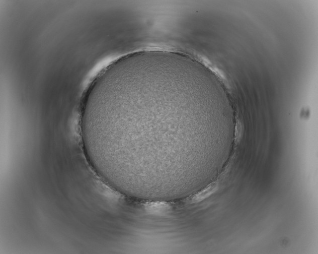 X0000090861454200708101209