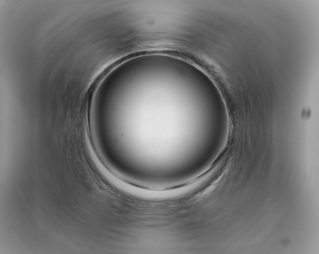 X0000090861457200708101209