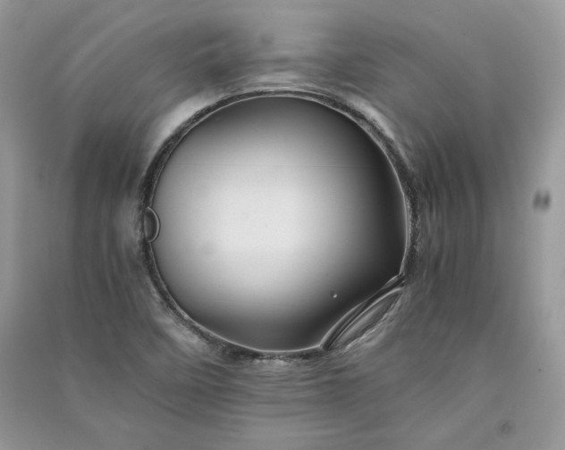 X0000090861458200708101209