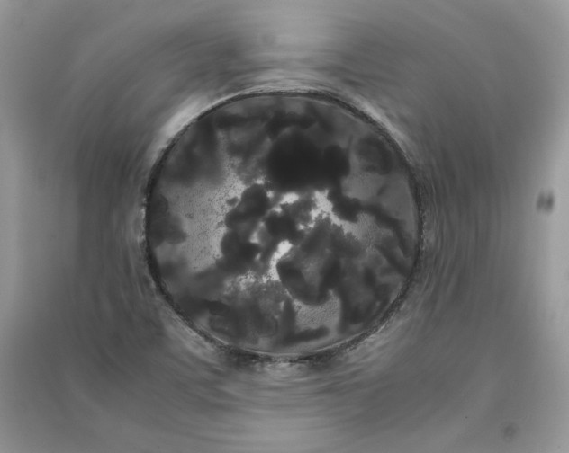 X0000090861459200708101209