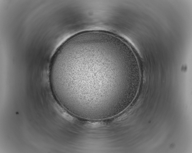 X0000090861460200708101209