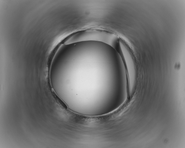 X0000090861461200708101209