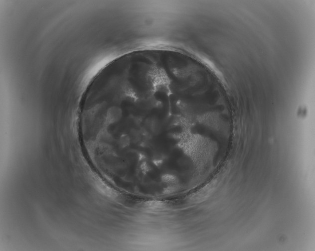 X0000090861463200708101209