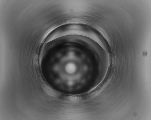 X0000090861465200708101209