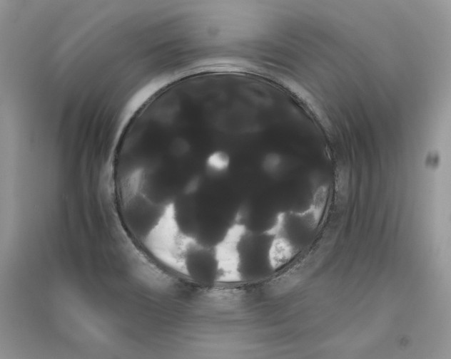 X0000090861466200708101209