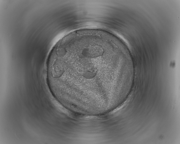 X0000090861467200708101209