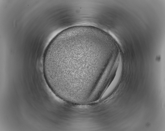 X0000090861468200708101209