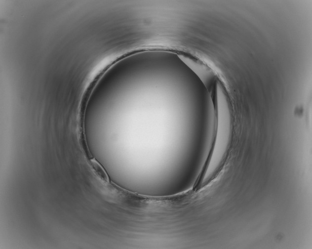 X0000090861469200708101209