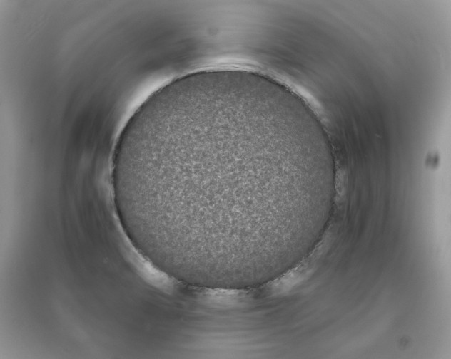 X0000090861470200708101209