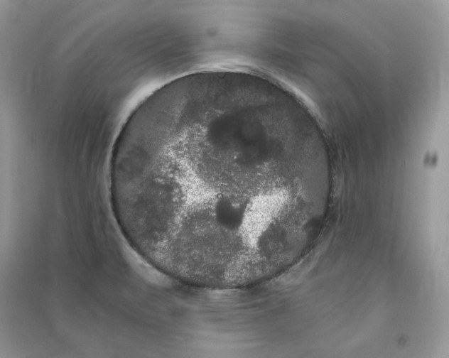 X0000090861471200708101209