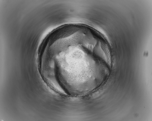 X0000090861472200708101209