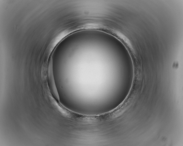 X0000090861473200708101209